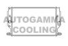 AUTOGAMMA 105529 Radiator, engine cooling